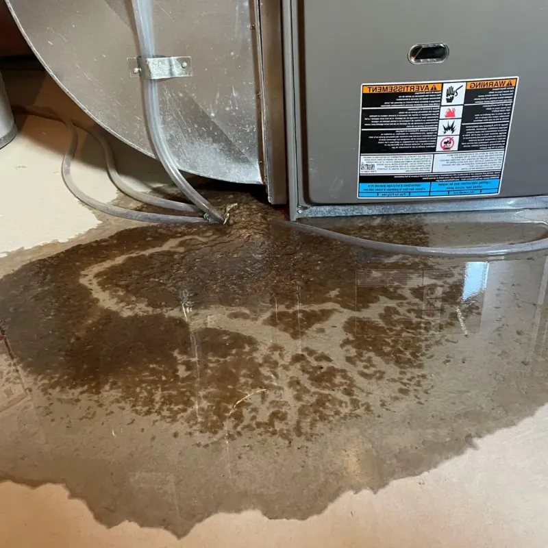 Pipe Burst and Leak Restoration in Hennessey, OK